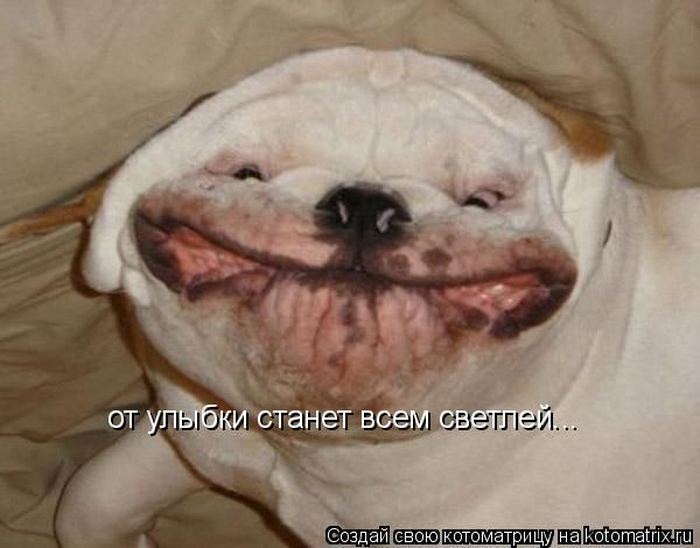 Мысли вслух :)