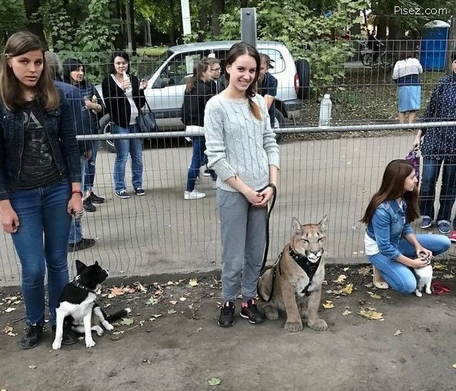 Жить становится легко, если пофиг глубоко!