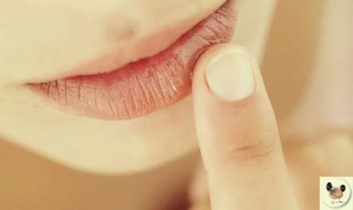Почему нaши губы обветривaютcя.