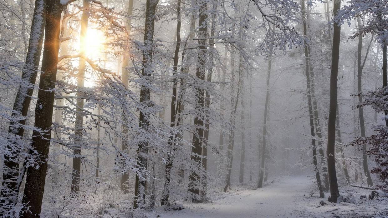 Камчатку, Чукотку и Магаданскую область накроют сильные морозы в ближайшие дни