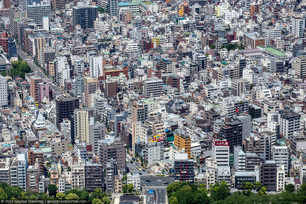 Самая высокая в мире телебашня и Токио