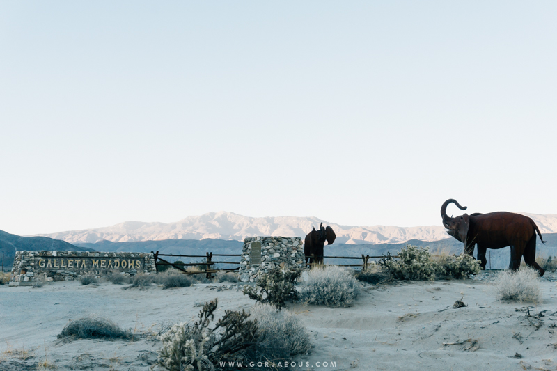 Anza-Borrego Springs-17.jpg