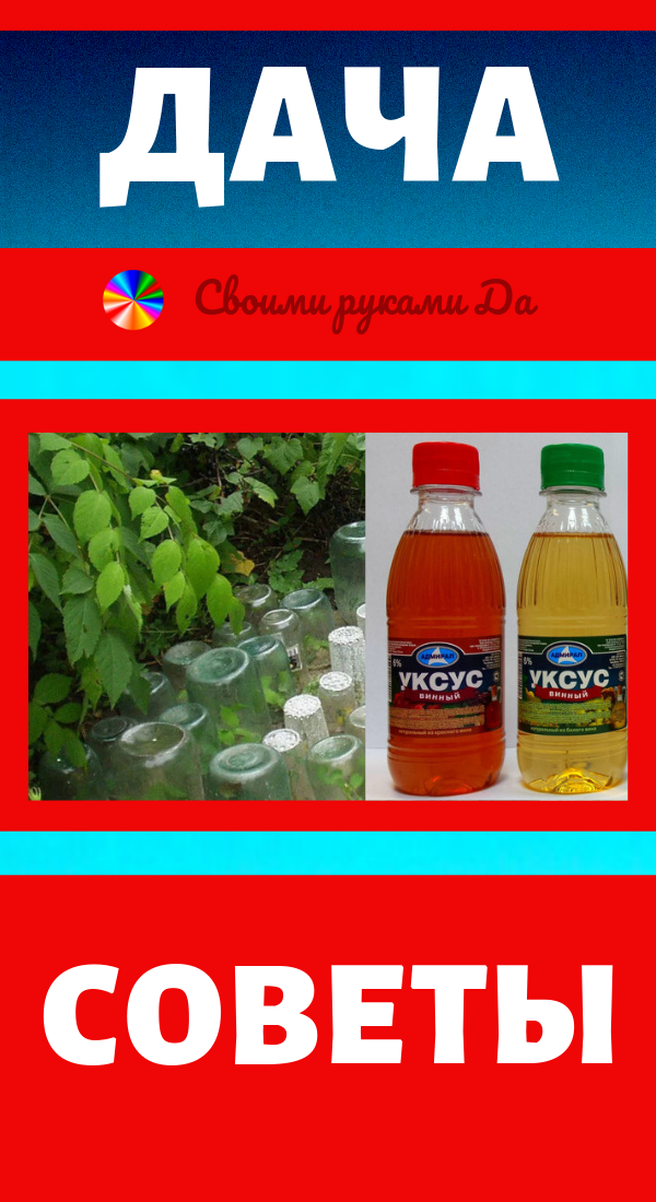 Моя дача, советы и не только! Проверено годами и своими руками