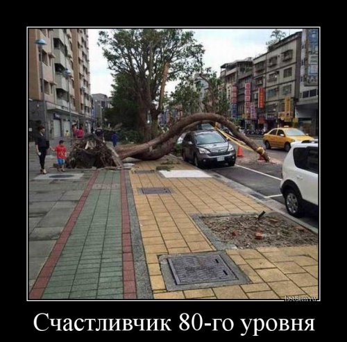 Новые демотиваторы-приколы (16 шт)