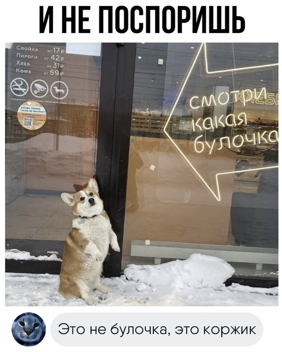 Острые комментарии, которые, как соус, делают пост еще пикантнее Острые комментарии, которые, как соус, делают пост еще пикантнее