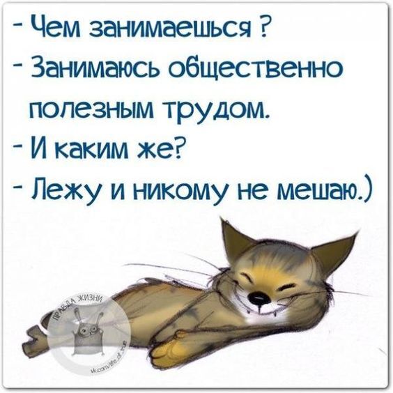 Несколько задорных открыток с отборным юмором Несколько задорных открыток с отборным юмором