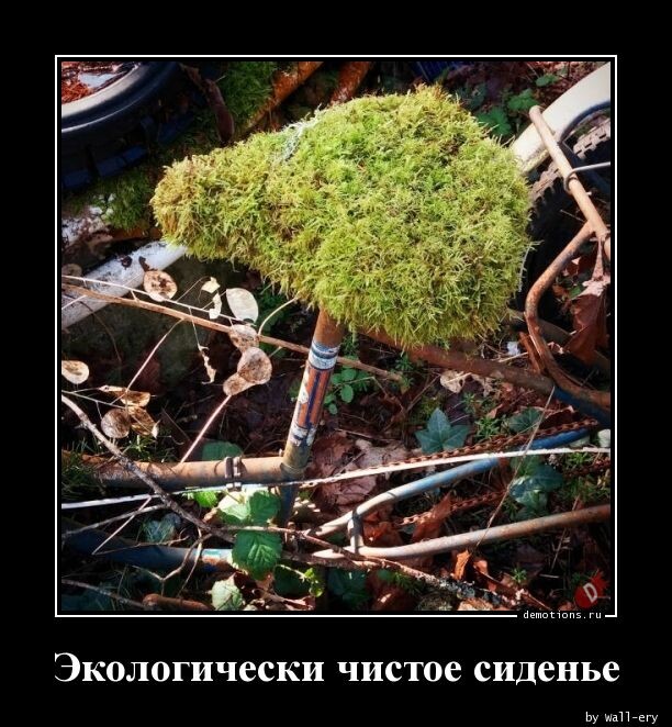 Демотиваторы прикольные Демотиваторы прикольные