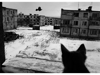 Российские города призраки