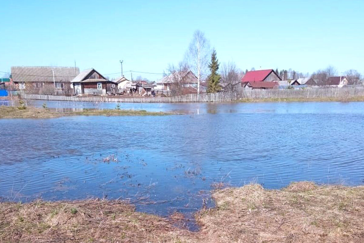 В России число подтопленных паводком домов за сутки сократилось до 9 341