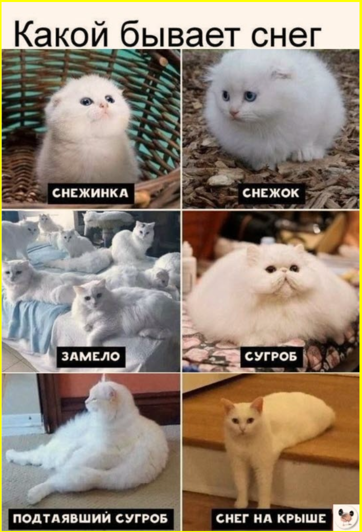 Веселые картинки с приколюшками Веселые картинки с приколюшками