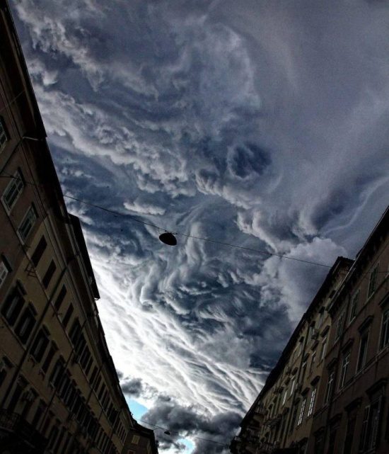 Самое забавное и смешное смешные картинки