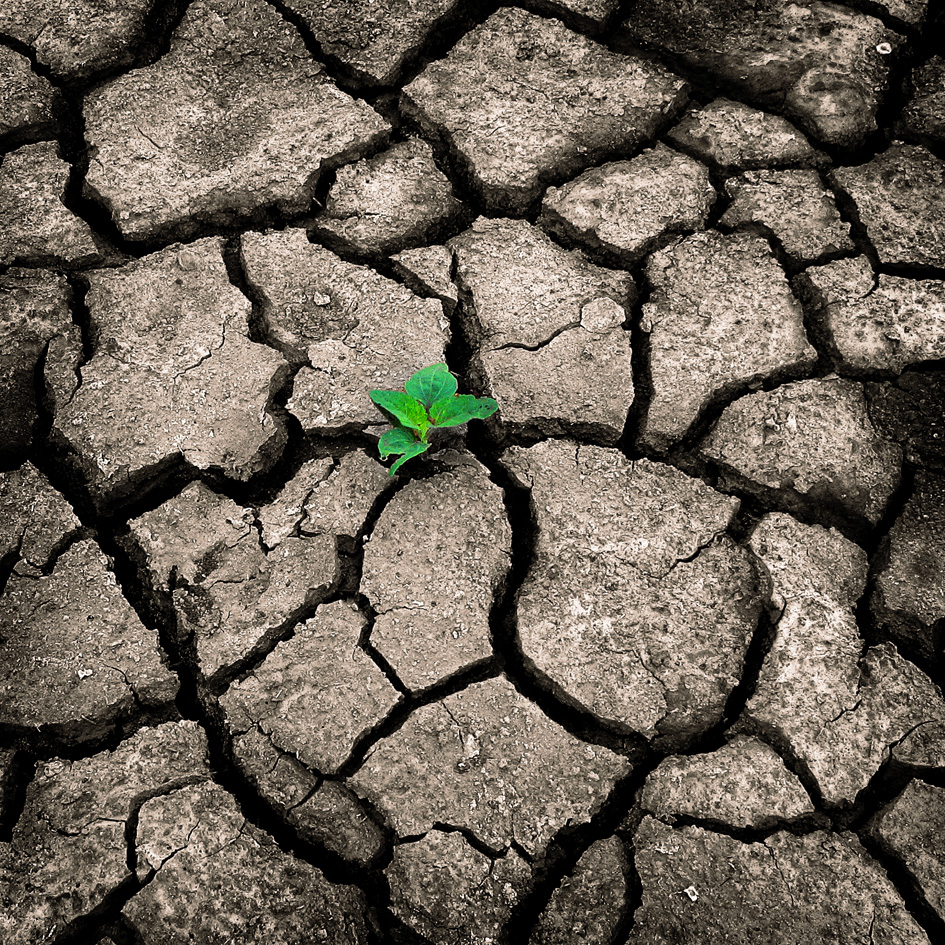 20 фото, которые подтверждают, что на нашей планете нет ничего могущественнее силы природы интересное,природа,фотография