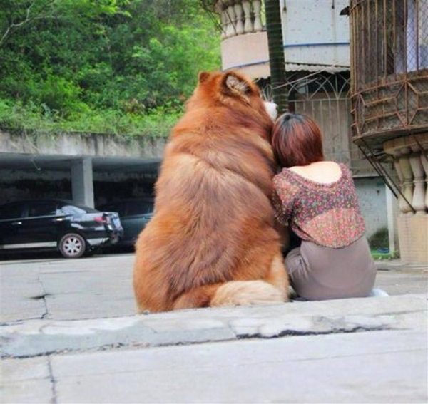До глубины души. Обалденно!