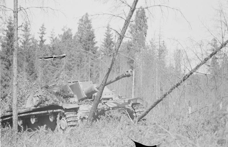 Выборгско-Петрозаводская операция: разгром финской армии Выборгско-Петрозаводская операция: разгром финской армии история