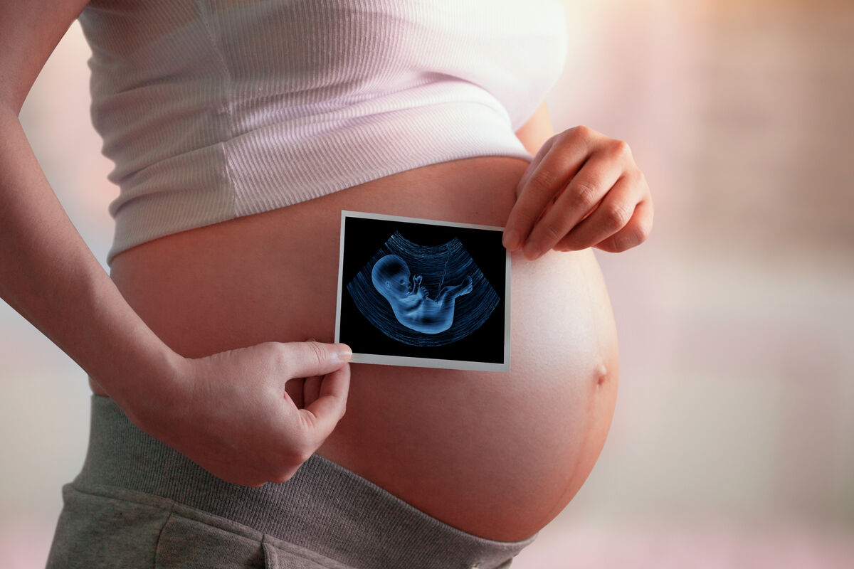 Cell Systems: органоиды плаценты позволили изучить осложнения при беременности