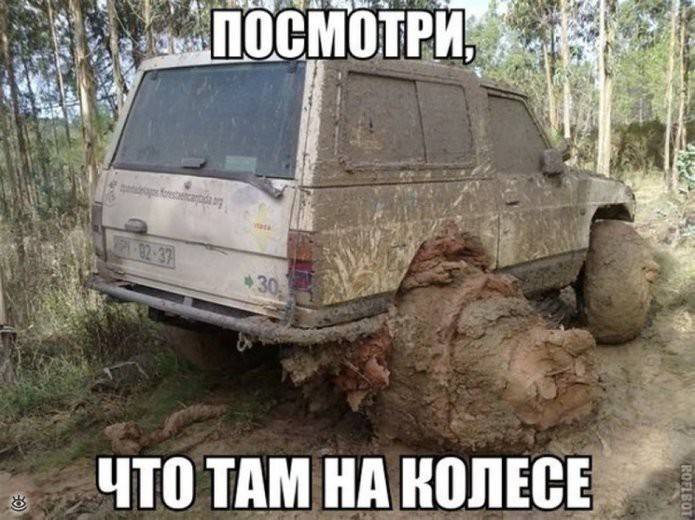 Авто приколы  авто, прикол, юмор