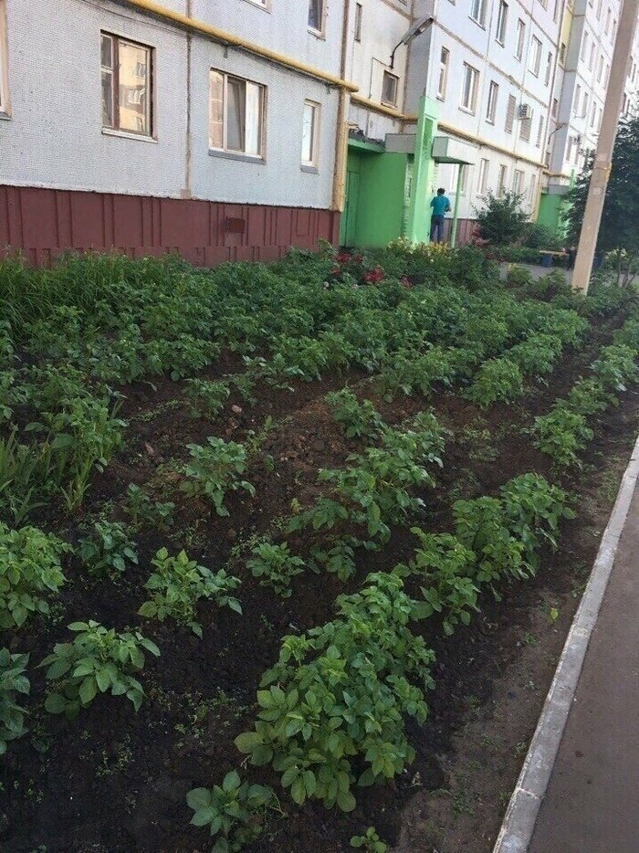 Удивительное и невероятное своими глазами не всё так грустно