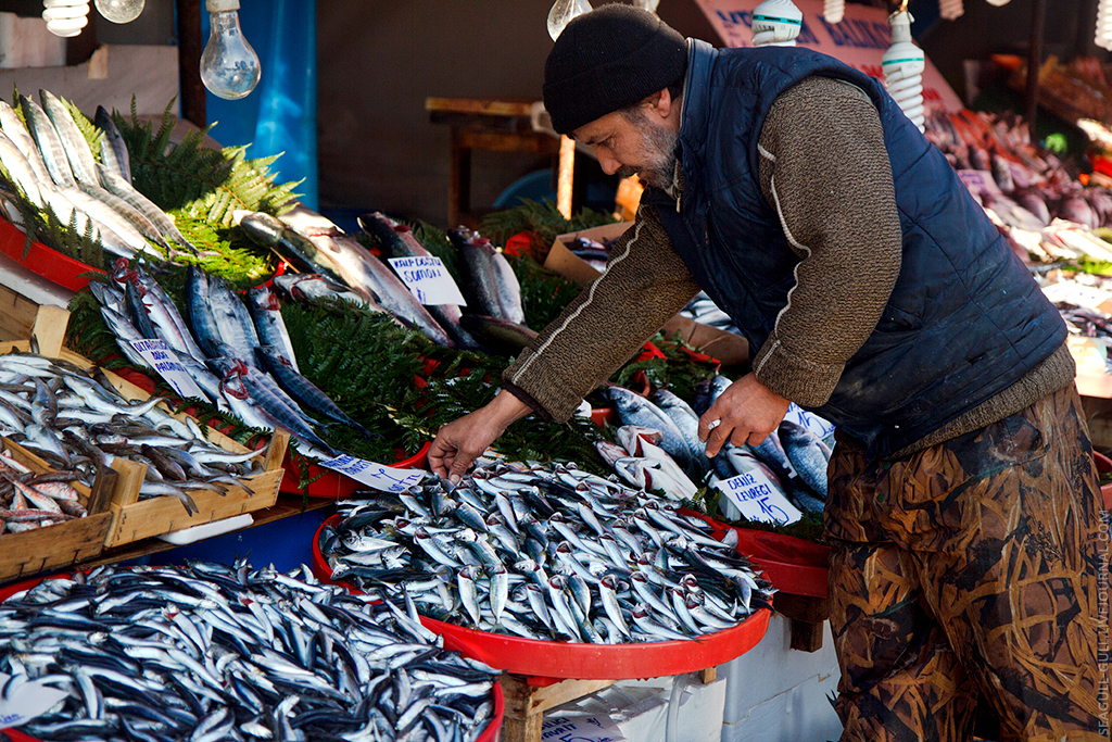 Купить рыбу во владивостоке. Рыбный рынок. Рыба на рынке. Рыба на базаре. Рыбная Лавка на рынке.