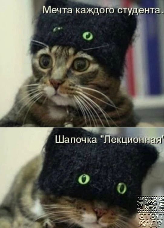 Смеемся от души: отличная подборка юмора Смеемся от души: отличная подборка юмора