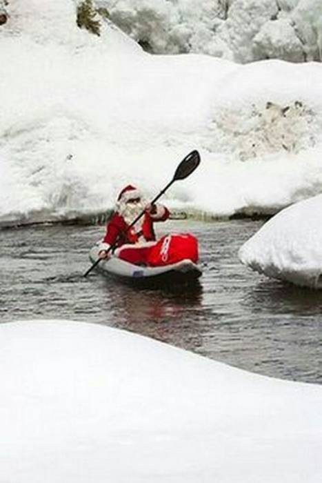 Они уже в пути! картинки,позитив,фото-приколы,юмор