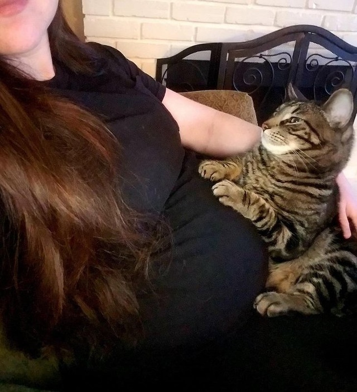 25 ,       .       