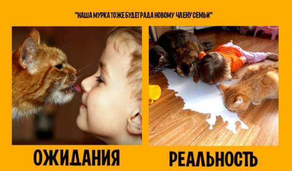 Дети ожидание и реальность Дети ожидание и реальность