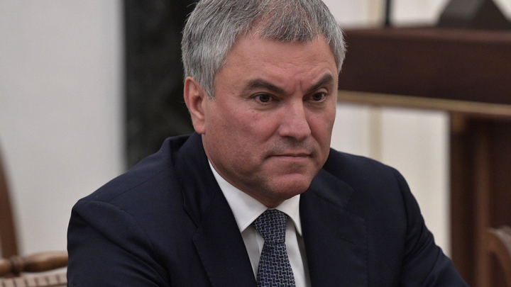 Володин назвал «чудовищной» ситуацию с задержанием дочери мэра Купянска СБУ