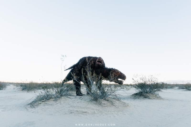 Anza-Borrego Springs-11.jpg