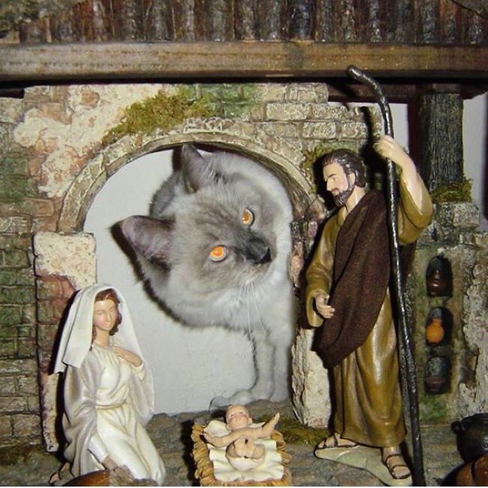 And Then The Little Baby Jesus Was Carried Off By The Catosaurus. The End