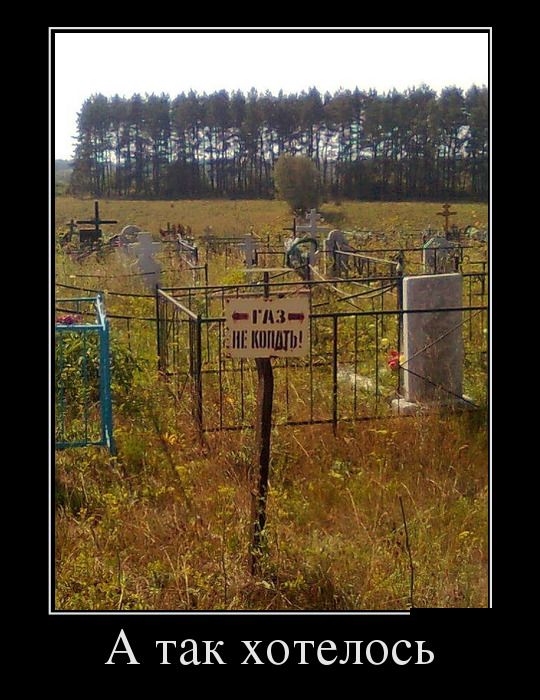 Утренние демотиваторы для веселья и позитива (11 фото)