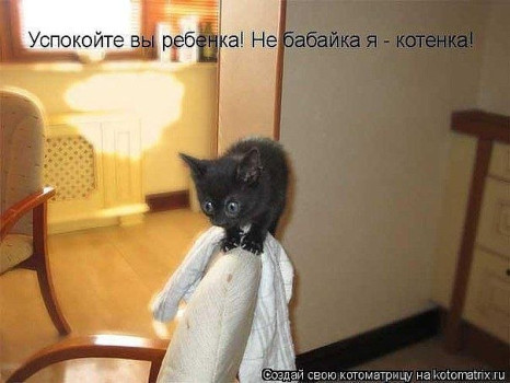ЖИЗНЬ ЖИВОТНЫХ  Сначала, милота, настроения             , жизненные, ситуации                                                               