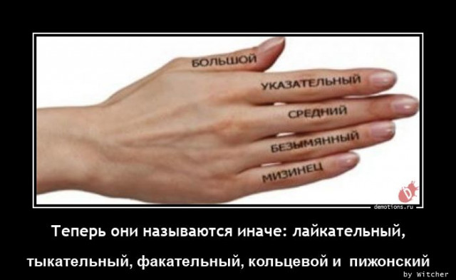 Очередная коллекция демотиваторов для вашего прекрасного предпраздничного настроения! 