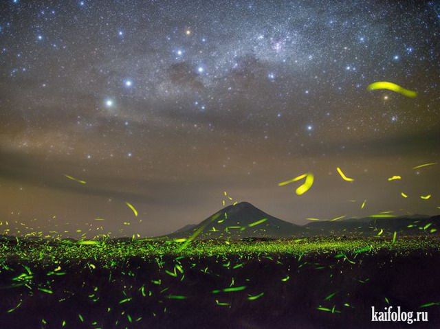   National Geographic 2015 (75 )
