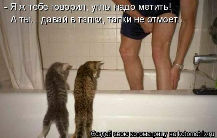 Устал, как собака? Отдохни, как кошка! Устал, как собака? Отдохни, как кошка!