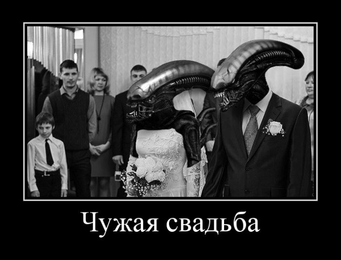 Подборка интересных и веселых картинок №33 демотиваторы