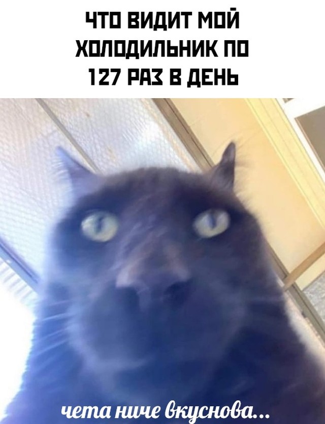 Подборка картинок. Вечерний выпуск 