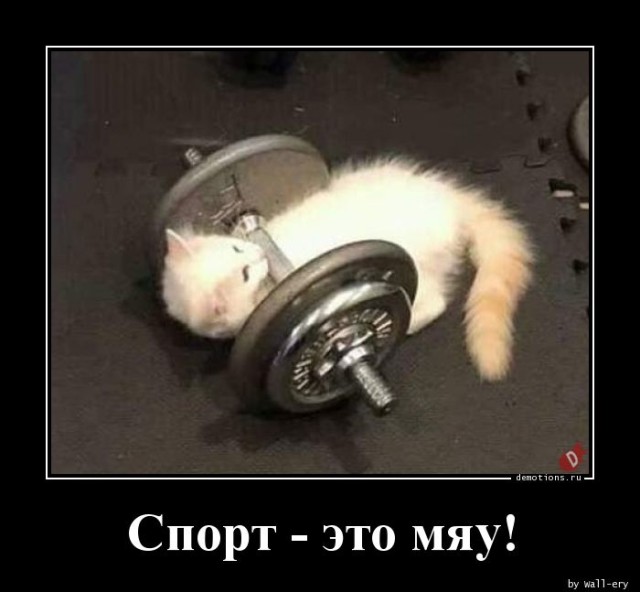 Традиционная коллекция демотиваторов для ценителей приколов и юмора! 