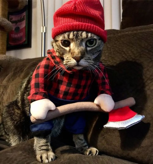 30 лучших костюмов на Хэллоуин, которые мы увидели в 2018 году