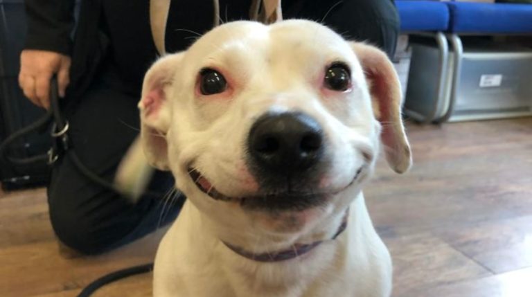 BeFunky-collage (24)