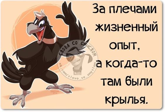 Как объяснить иностранцу, что в русском языке фразы "Он непорядочная сволочь" и "Он порядочная сволочь" означают одно и то же? веселые картинки