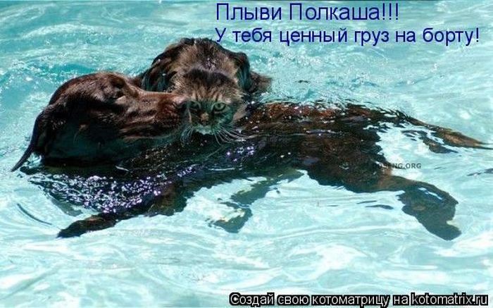 Мысли вслух :)