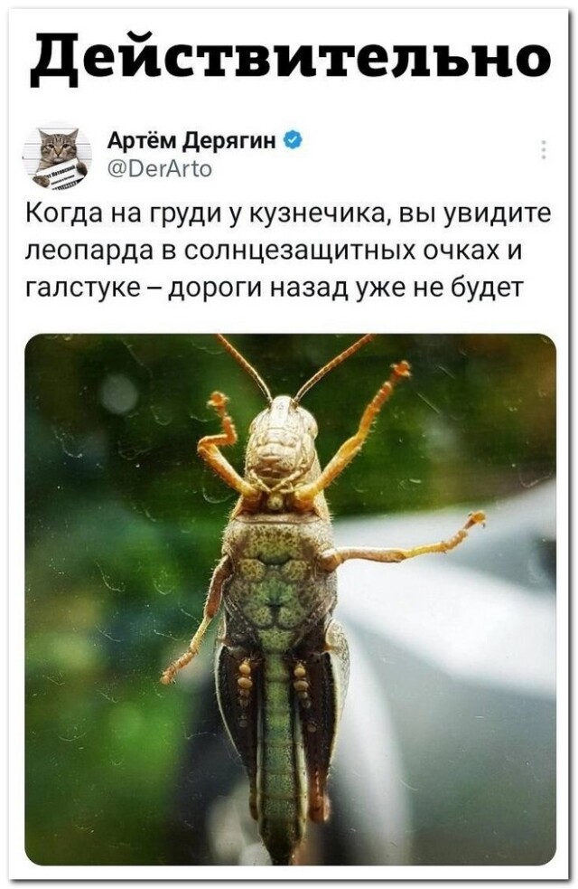 Небольшая коллекция смешных комментариев для хорошего настроения Небольшая коллекция смешных комментариев для хорошего настроения