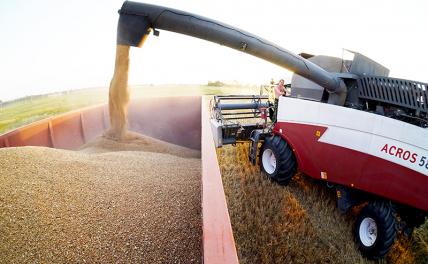 Живущая впроголодь Россия кормит сытенький Запад — кому выгодно?