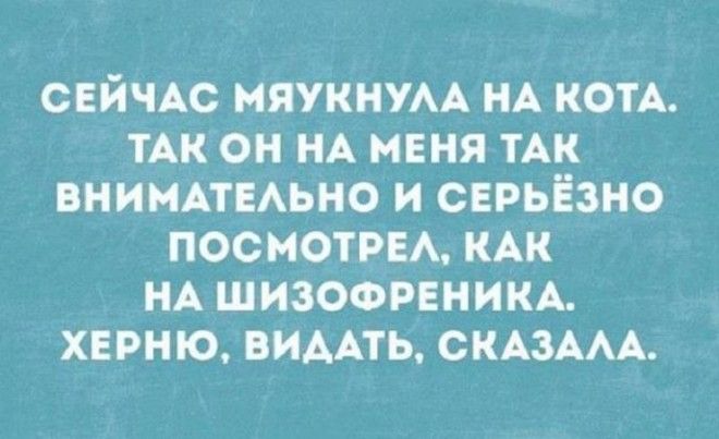 S10 уморительных историй для отличного настроения