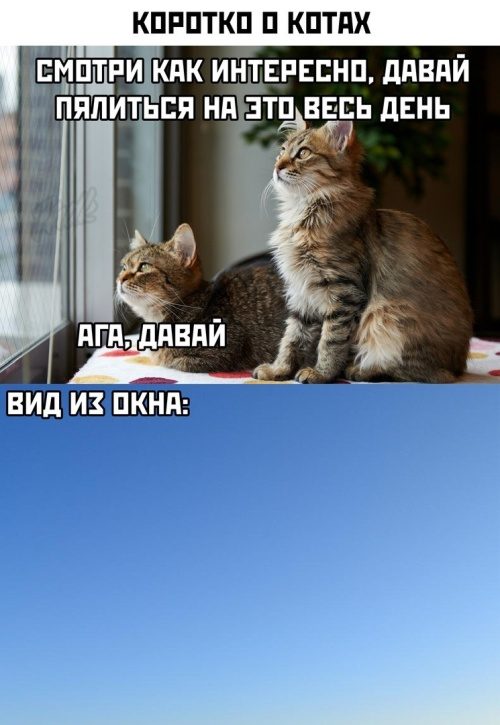 Самое забавное и смешное смешные картинки