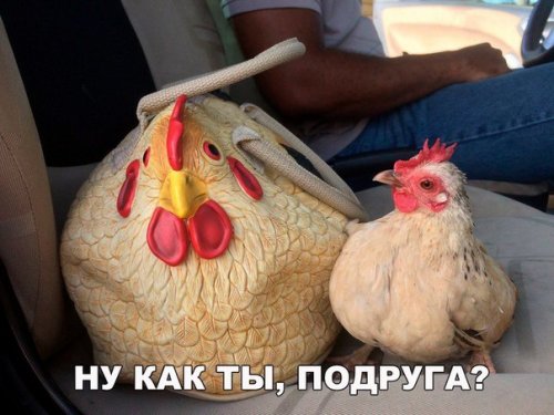 Новые прикольные фотомемы (26 шт)