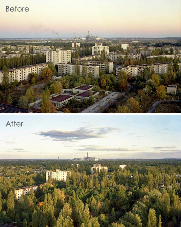 18 фото о том, что в Чернобыле природа взяла верх над цивилизацией