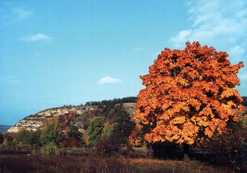 Самарская Лука