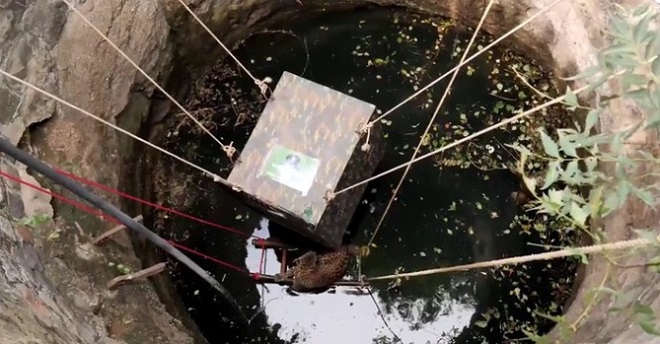 Пленница в воде: самка леопарда оказалась в колодце, и людям пришлось разработать план по ее спасению 