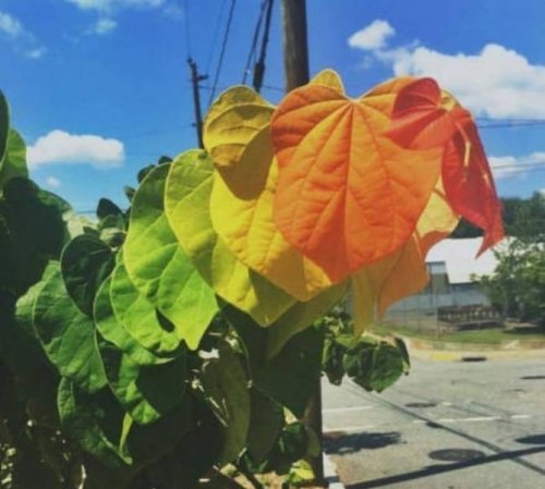 23 фотографии, которые доведут вас до визуального экстаза 23 фотографии, которые доведут вас до визуального экстаза